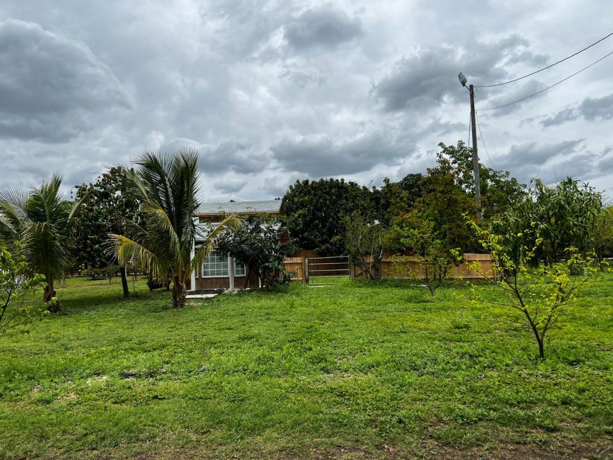 Hostal Maria'S Tiny Barn Homestead Exterior foto